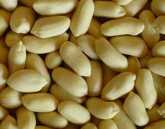 Peanut Kernels 