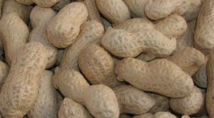 Roasted Peanuts 