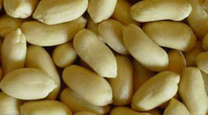 Peanut Kernels without Skin