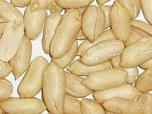 Peanut Kernels 