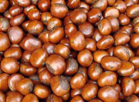 Roasted Chestnuts 