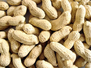 Peanuts in Shell 