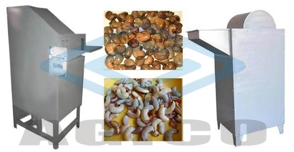 Cashew Nuts Sheller Machine 